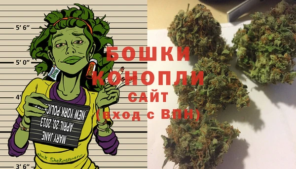 бошки Аркадак