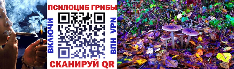 Галлюциногенные грибы ЛСД  Волчанск 